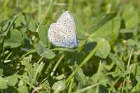 Cjp_2009_06_01_093847 (2).jpg